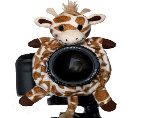 Shutter Huggers Giraffe Shutter Hugger GIR001