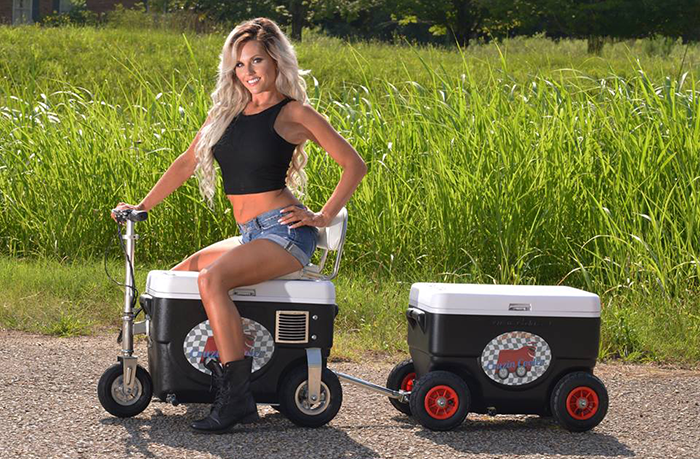 Electric Scooter Cooler